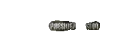 PRESIDENSLOT